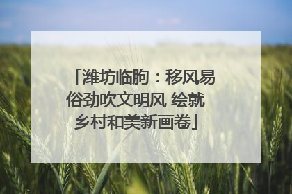 潍坊临朐：移风易俗劲吹文明风 绘就乡村和美新画卷