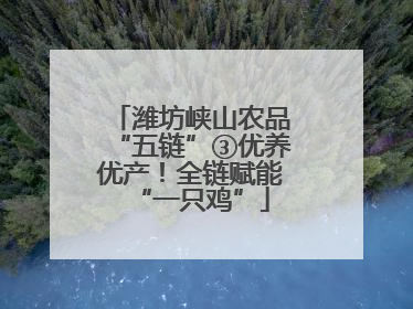 潍坊峡山农品“五链”③优养优产！全链赋能“一只鸡”