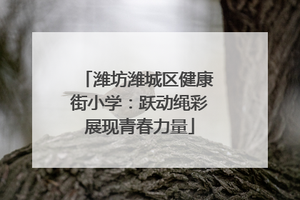 潍坊潍城区健康街小学：跃动绳彩展现青春力量