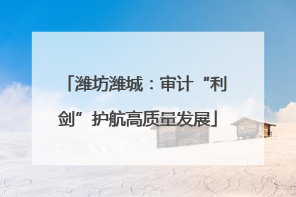 潍坊潍城：审计“利剑”护航高质量发展