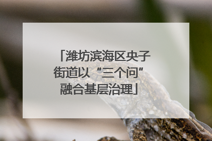 潍坊滨海区央子街道以“三个问”融合基层治理