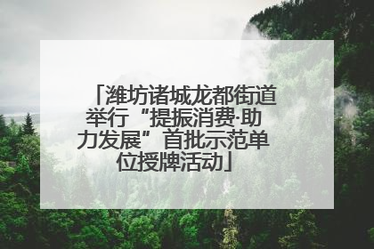 潍坊诸城龙都街道举行“提振消费·助力发展”首批示范单位授牌活动