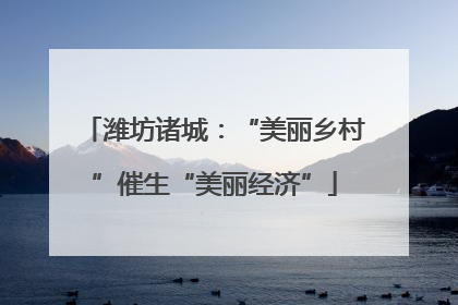 潍坊诸城：“美丽乡村”催生“美丽经济”