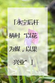 永宁后杆柄村“以花为媒，以果兴业”