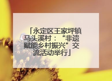 永定区王家坪镇马头溪村：“非遗赋能乡村振兴”交流活动举行
