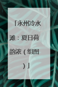 永州冷水滩：夏日荷韵浓（组图）