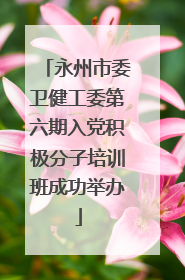 永州市委卫健工委第六期入党积极分子培训班成功举办