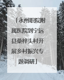 永州职院附属医院到宁远县桑梓头村开展乡村振兴专题调研
