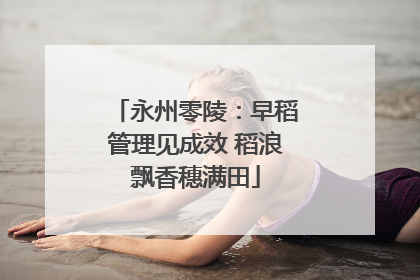 永州零陵：早稻管理见成效 稻浪飘香穗满田