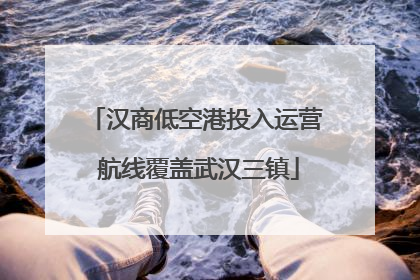 汉商低空港投入运营 航线覆盖武汉三镇