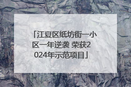 江夏区纸坊街一小区一年逆袭 荣获2024年示范项目