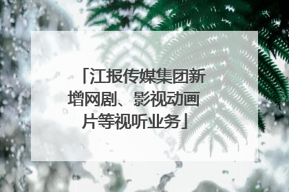 江报传媒集团新增网剧、影视动画片等视听业务