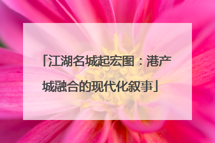 江湖名城起宏图：港产城融合的现代化叙事