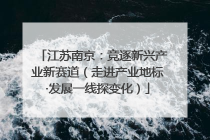 江苏南京：竞逐新兴产业新赛道（走进产业地标·发展一线探变化）