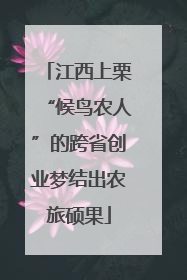 江西上栗“候鸟农人”的跨省创业梦结出农旅硕果