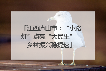 江西庐山市：“小路灯”点亮“大民生” 乡村振兴稳提速