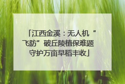 江西金溪：无人机“飞防”破丘陵植保难题 守护万亩早稻丰收