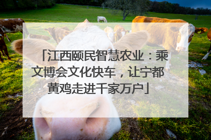 江西颐民智慧农业：乘文博会文化快车，让宁都黄鸡走进千家万户