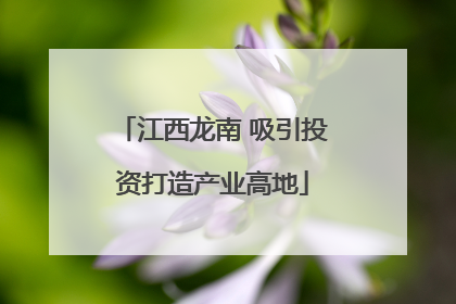 江西龙南 吸引投资打造产业高地