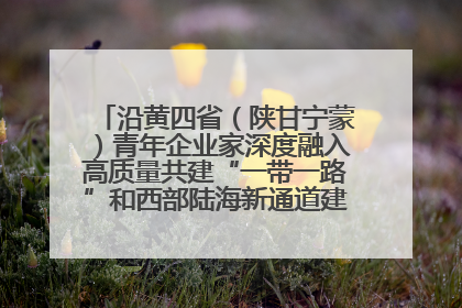 沿黄四省（陕甘宁蒙）青年企业家深度融入高质量共建“一带一路”和西部陆海新通道建设战略合作交流会在甘肃兰州召开