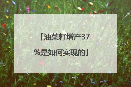 油菜籽增产37%是如何实现的