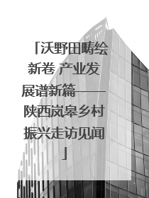 沃野田畴绘新卷 产业发展谱新篇——陕西岚皋乡村振兴走访见闻