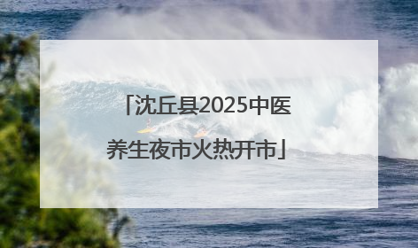 沈丘县2025中医养生夜市火热开市