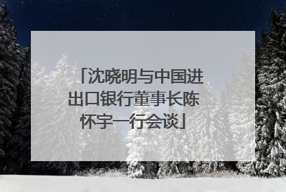 沈晓明与中国进出口银行董事长陈怀宇一行会谈