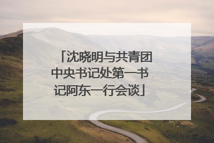 沈晓明与共青团中央书记处第一书记阿东一行会谈