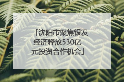 沈阳市聚焦银发经济释放530亿元投资合作机会