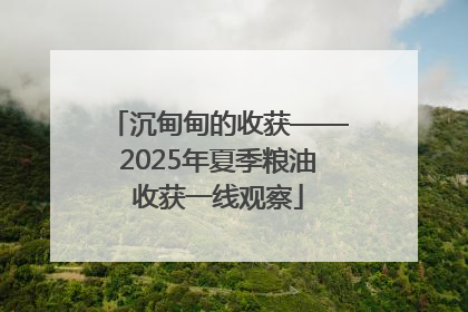 沉甸甸的收获——2025年夏季粮油收获一线观察
