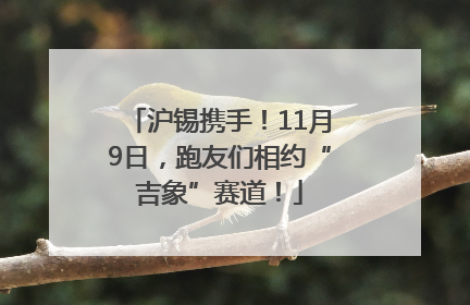 沪锡携手！11月9日，跑友们相约“吉象”赛道！
