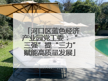 河口区蓝色经济产业园党工委：“三强”提“三力”赋能高质量发展