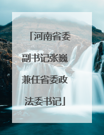 河南省委副书记张巍兼任省委政法委书记