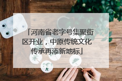 河南省老字号集聚街区开业，中原传统文化传承再添新地标