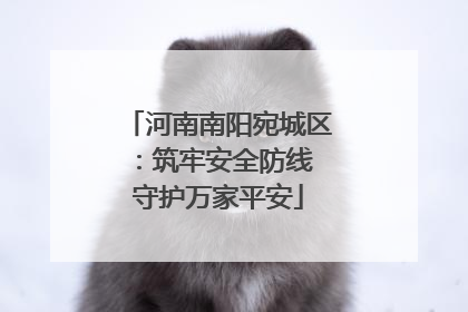河南南阳宛城区：筑牢安全防线 守护万家平安