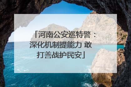 河南公安巡特警：深化机制提能力 敢打善战护民安