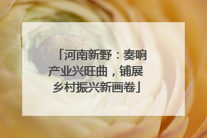 河南新野：奏响产业兴旺曲，铺展乡村振兴新画卷