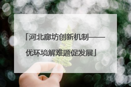 河北廊坊创新机制——优环境解难题促发展