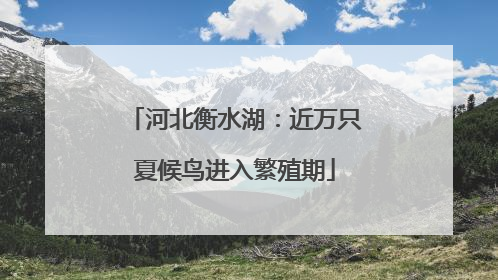 河北衡水湖：近万只夏候鸟进入繁殖期