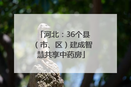 河北：36个县（市、区）建成智慧共享中药房