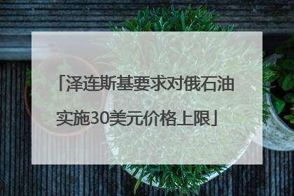 泽连斯基要求对俄石油实施30美元价格上限