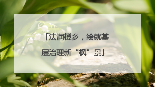 法润橙乡，绘就基层治理新“枫”景