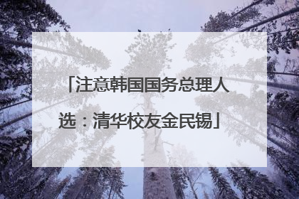注意韩国国务总理人选：清华校友金民锡