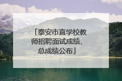 泰安市直学校教师招聘面试成绩、总成绩公布