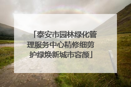 泰安市园林绿化管理服务中心精修细剪护绿焕新城市容颜