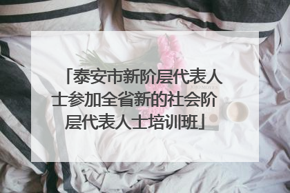 泰安市新阶层代表人士参加全省新的社会阶层代表人士培训班