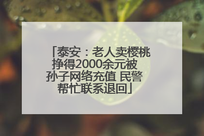泰安：老人卖樱桃挣得2000余元被孙子网络充值 民警帮忙联系退回
