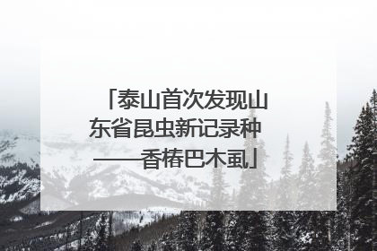 泰山首次发现山东省昆虫新记录种——香椿巴木虱