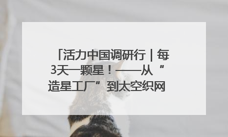 活力中国调研行｜每3天一颗星！——从“造星工厂”到太空织网的“银河速度”